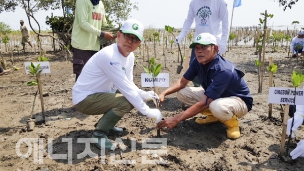 박형구 한국중부발전 사장(왼쪽)과 Pak. Farudin 찌레본 환경단체 대표(오른쪽)가 맹그로브 나무를 심고 있다.