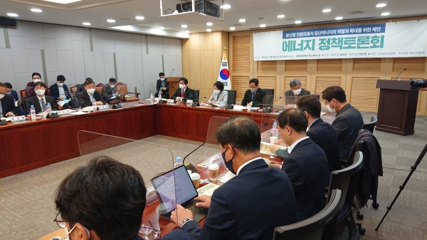 ▲ 9일 국회의원회관에서 에너지정책 토론회가 진행되고 있다.