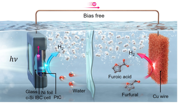 ▲ 태양광만을 이용한 고효율 이중 수소 생산 시스템 모식도.