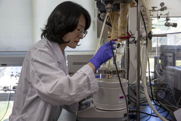 ▲ 연구진이 개발한 기술로 촉매합성 실험을 하고 있는 모습.