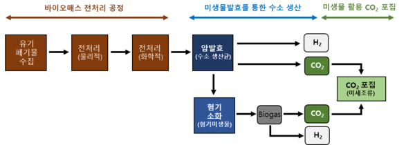 ▲ 영국 H2BOOST 프로젝트의 암발효 및 혐기소화를 이용한 수소 생산공정.