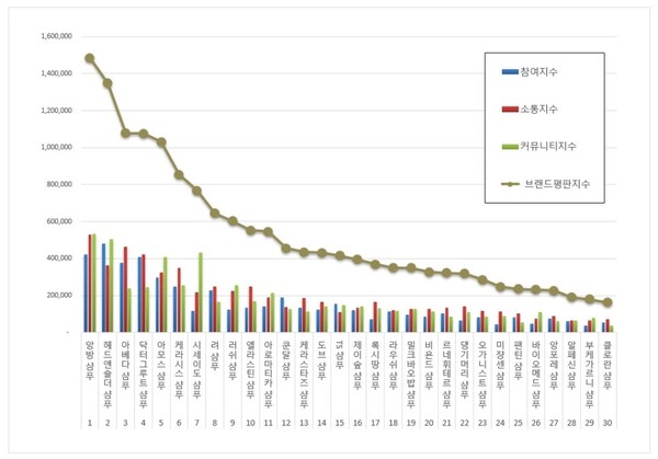 샴푸 11월 브랜드평판 빅데이터 분석