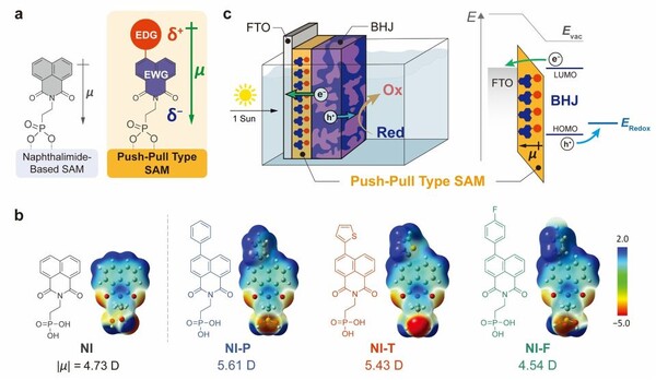 ▲ 박막을 구성하는 단분자와 광전극의 구조.