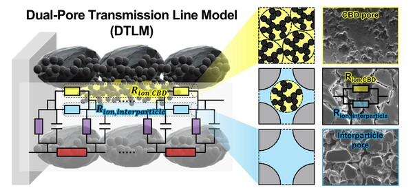 ▲ 연구진이 제시한 이중 공극 전송선 모델. 전극 내 기공을 리튬 이온 이동을 방해하는 기공과 리튬 이온 이동이 일어나는 기공으로 분류해 분석했다.