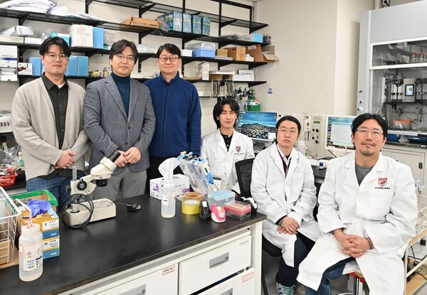 ▲ (왼쪽부터) 고려대 김병윤 연구교수, 이광렬 교수, 박성남 교수(교신저자), 손윤창 박사과정, 이승진 박사과정, 이기웅 박사과정(제1저자)