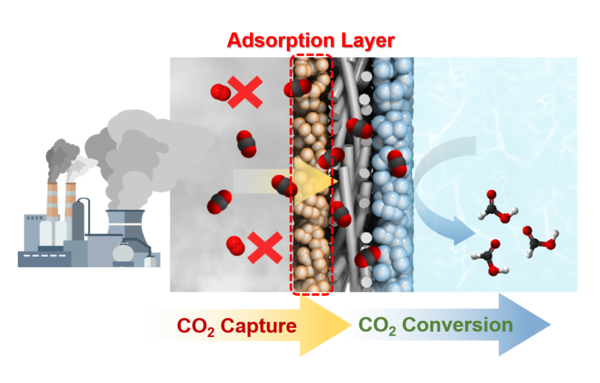 ▲CO₂를 선택적으로 잡아 전극 내부에서 바로 개미산으로 전환하는, 포집과 전환이 하나로 통합된 전극 구조를 보여준다.