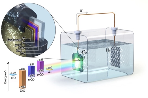 ▲ 고가의 희생제 없이도 수소를 생산하는 금속 황화물 기반 광전극.