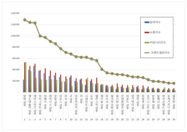 샴푸 2월 브랜드평판 빅데이터 분석