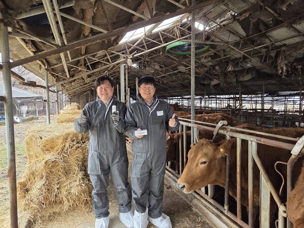 ▲ 박찬목 라이브케어 대표(오른쪽)가 농장 현장에서 구제역 백신 접종 후 개체 상태를 실시간으로 모니터링하는 AI 바이오캡슐 기술을 선보이고 있다.