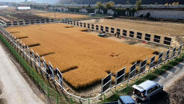 ▲그랜드썬기술단 실증 연구지 수직형 펜스태양광(대구 군위).