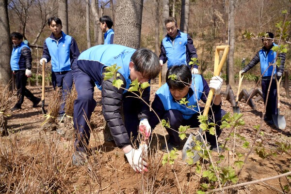 ▲ ’청량산 도시숲 가꾸기’ 행사에 참가한 삼천리 임직원이 나무를 심고 있다.