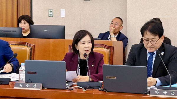 ▲ 최수진 국민의힘 의원은 한미 공동 팩트시트에 양국이 알래스카 LNG 프로젝트 경제성과 타당성 검증에 대해 의문을 제기했다.
