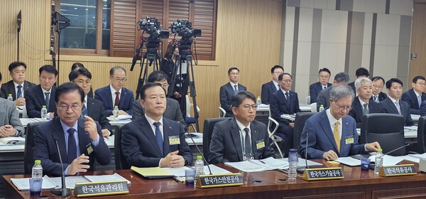 ▲ 산업부 산하 공공기관장들이 의원들의 질의에 답변하고 있다.