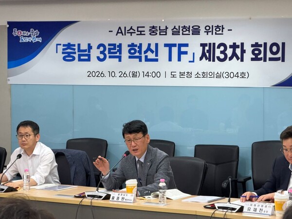 ▲ 홍종완 충남도 행정부지사가 ‘충남 3력 혁신 전담조직(TF)’ 제3차 회의를 갖고 있다.