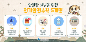 "전기안전수칙 지켜 안전한 설 명절 보내세요"
